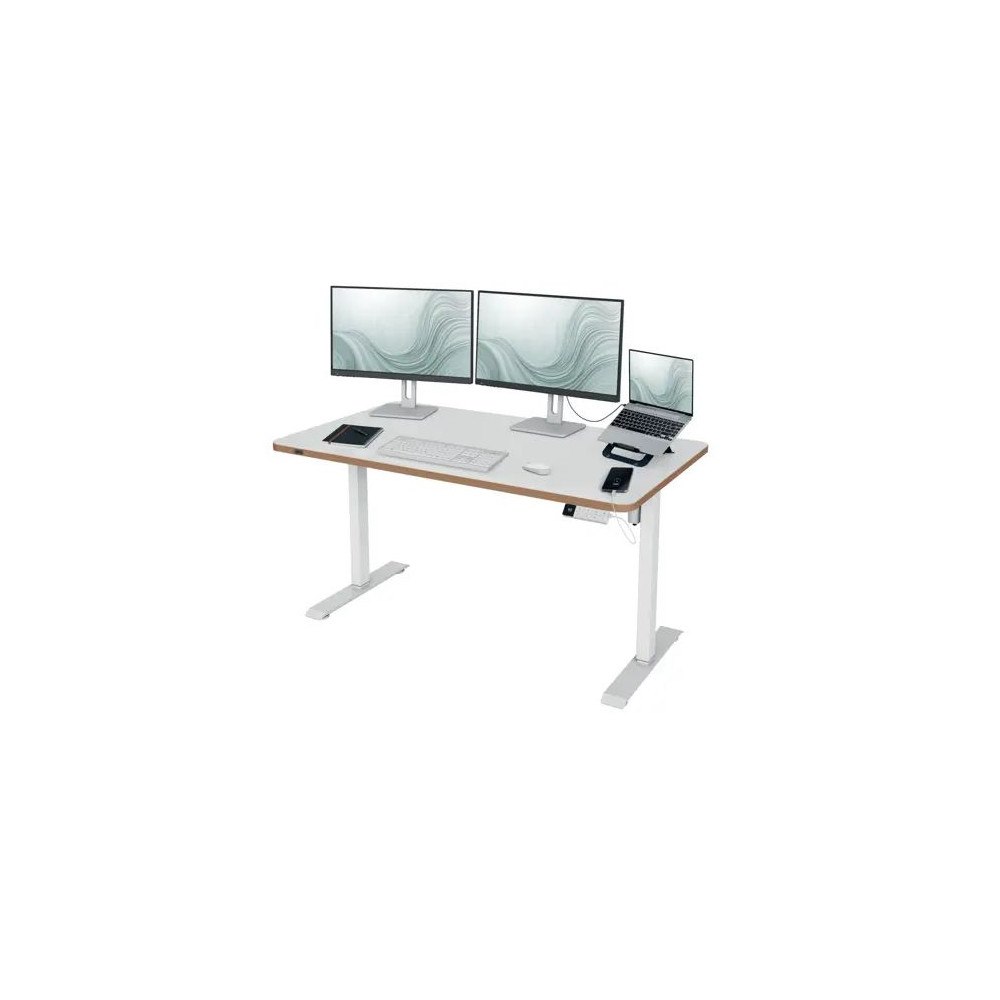 LEITZ Leitz Ergo elektriskt höj- och sänkbart skrivbord 140 x 80 c...