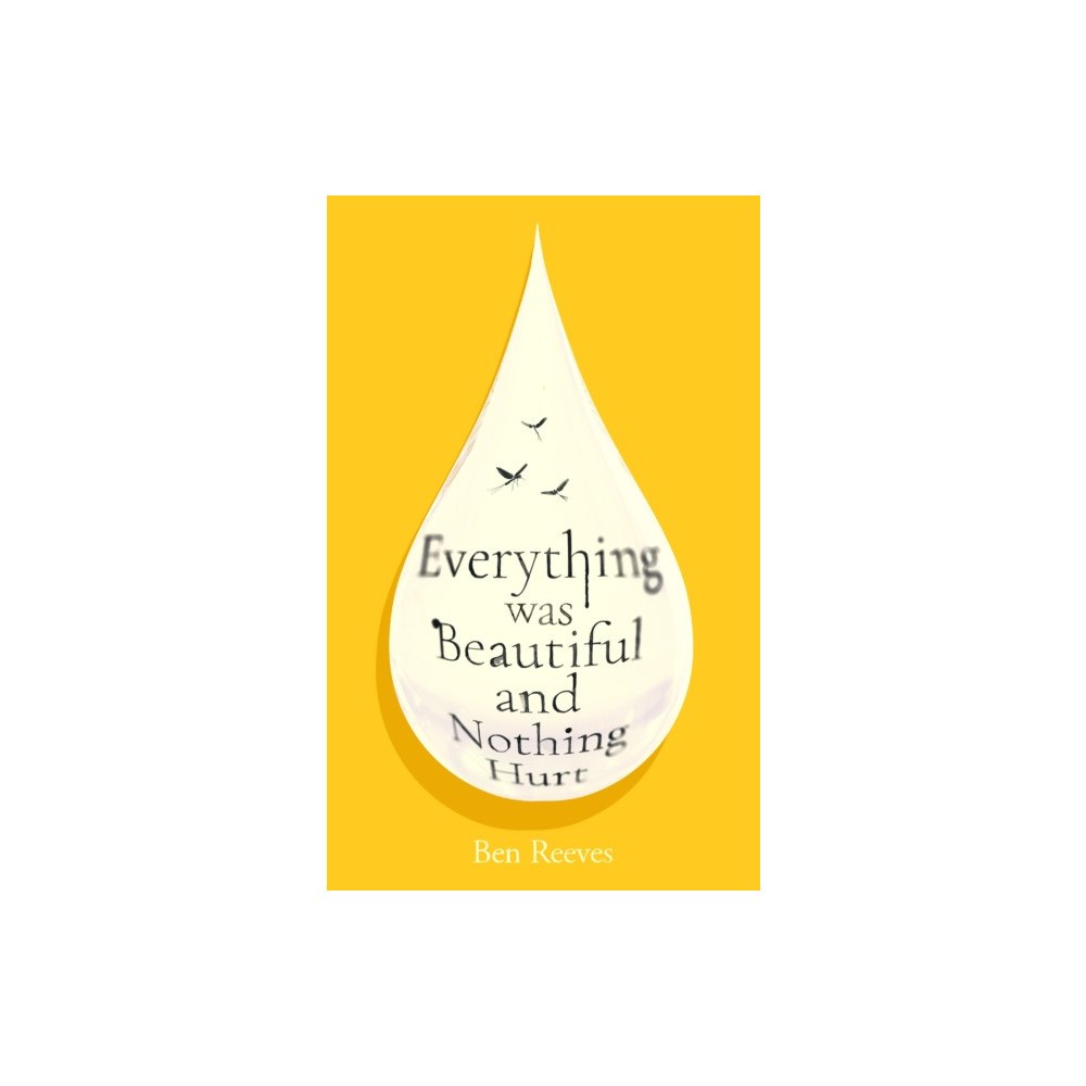 Atlantic Books Everything was Beautiful and Nothing Hurt (häftad, eng)