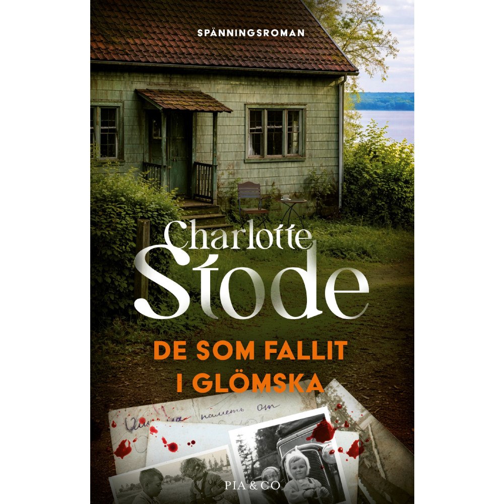 Charlotte Stode De som fallit i glömska (inbunden)