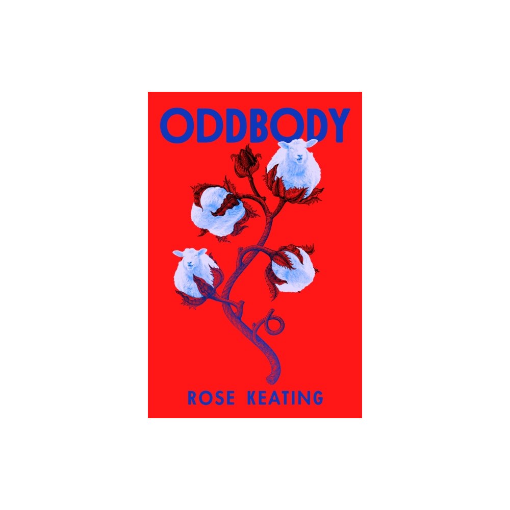 Simon & Schuster Oddbody (häftad, eng)