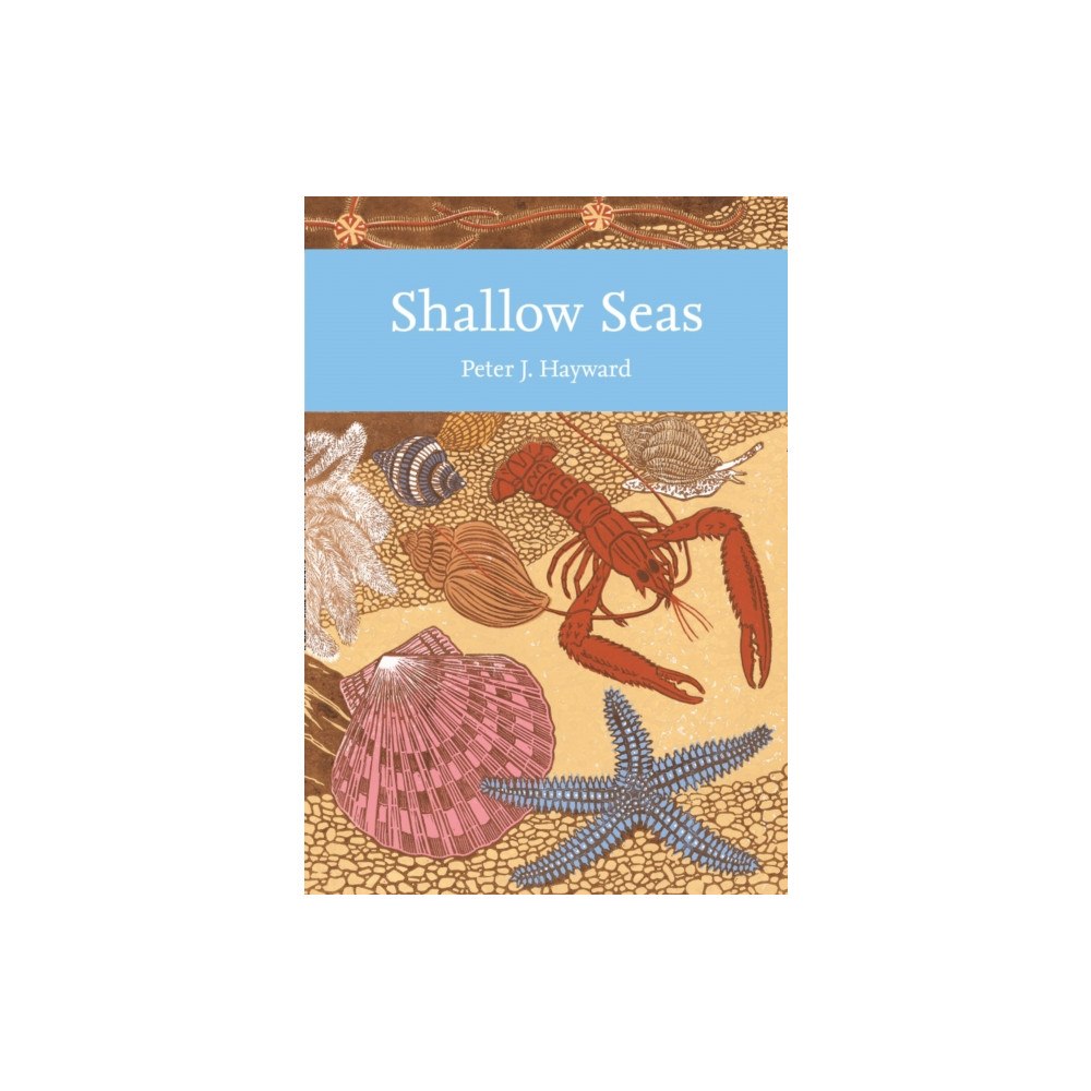 HarperCollins Publishers Shallow Seas (häftad, eng)