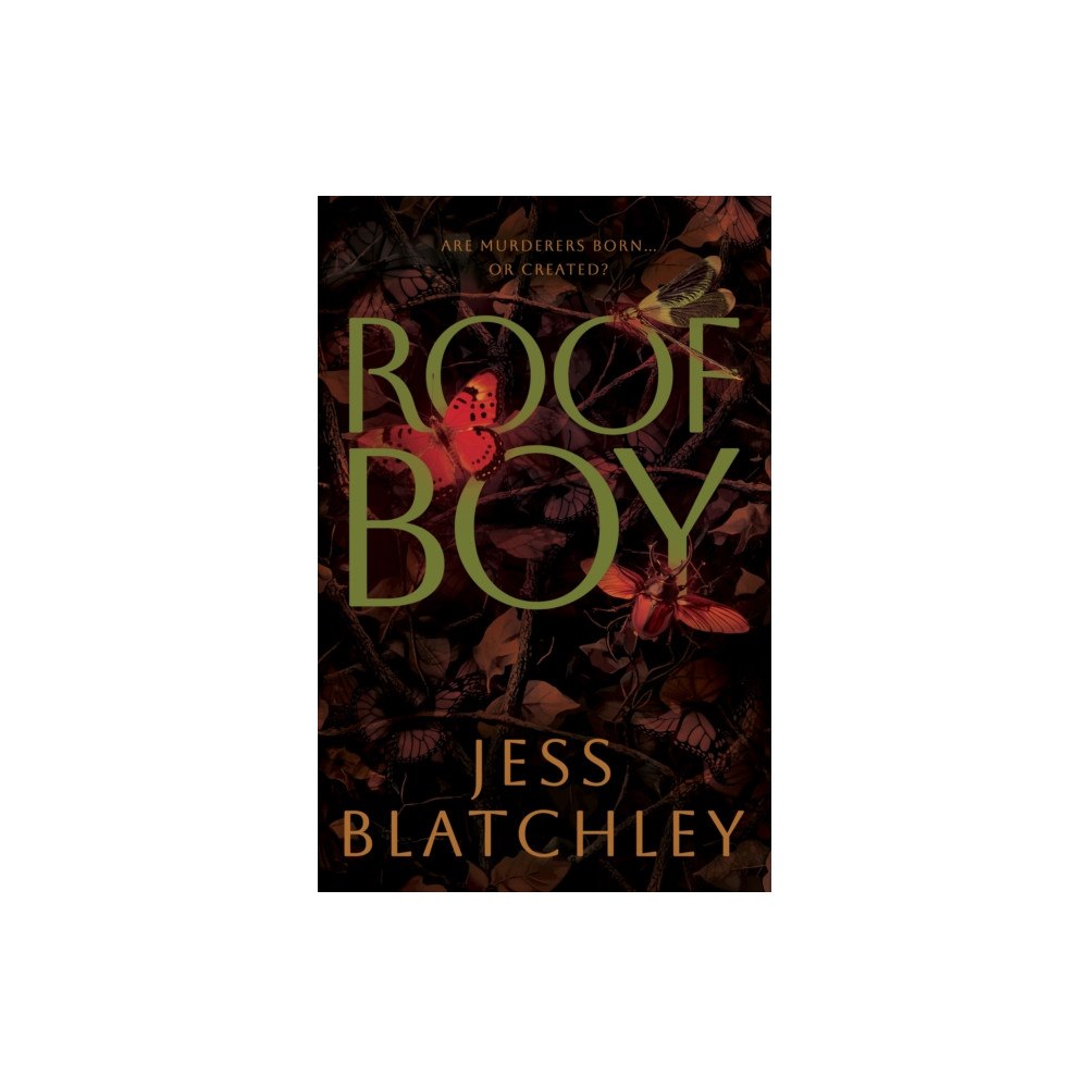 Cranthorpe Millner Publishers Roofboy (häftad, eng)