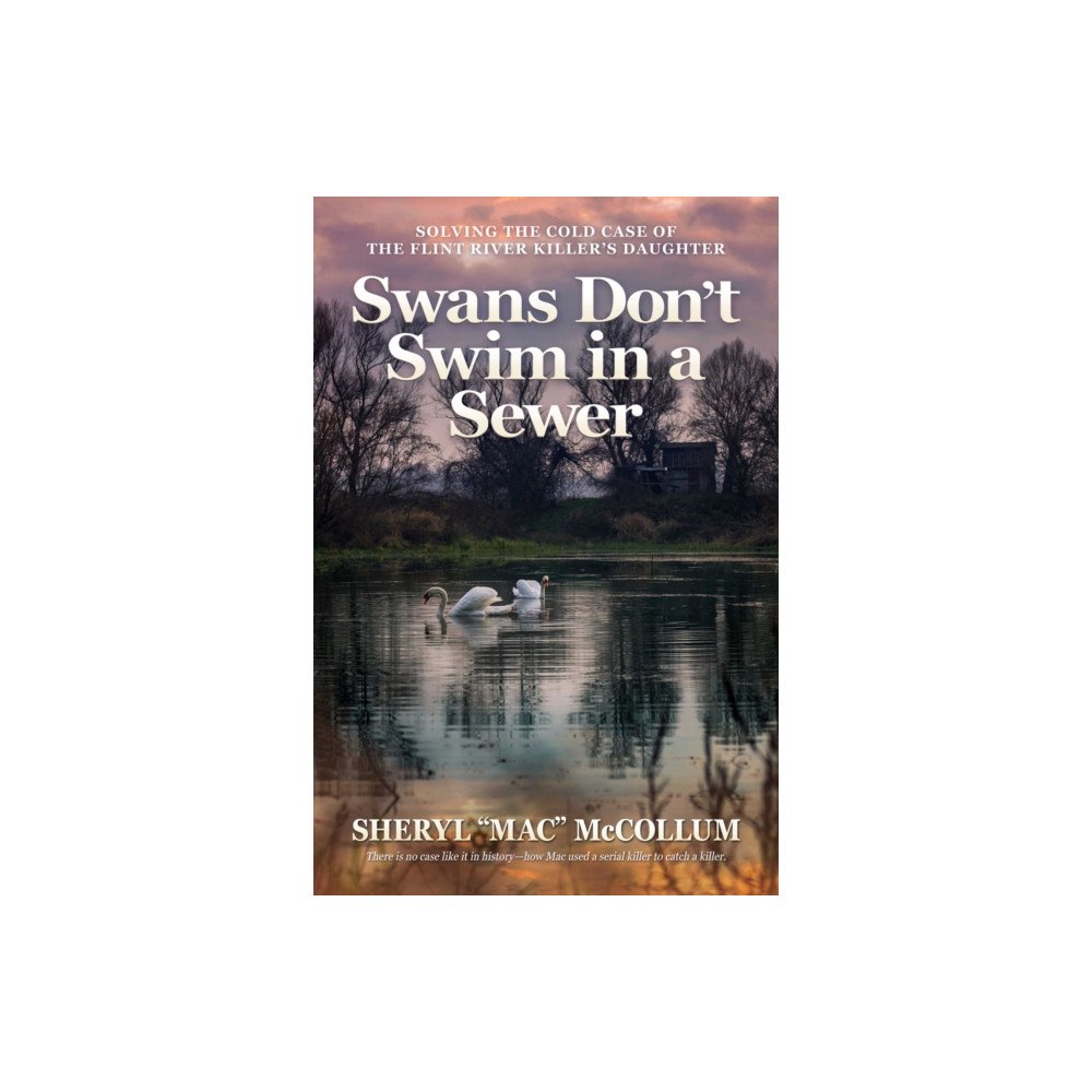 Post Hill Press Swans Don't Swim in a Sewer (häftad, eng)
