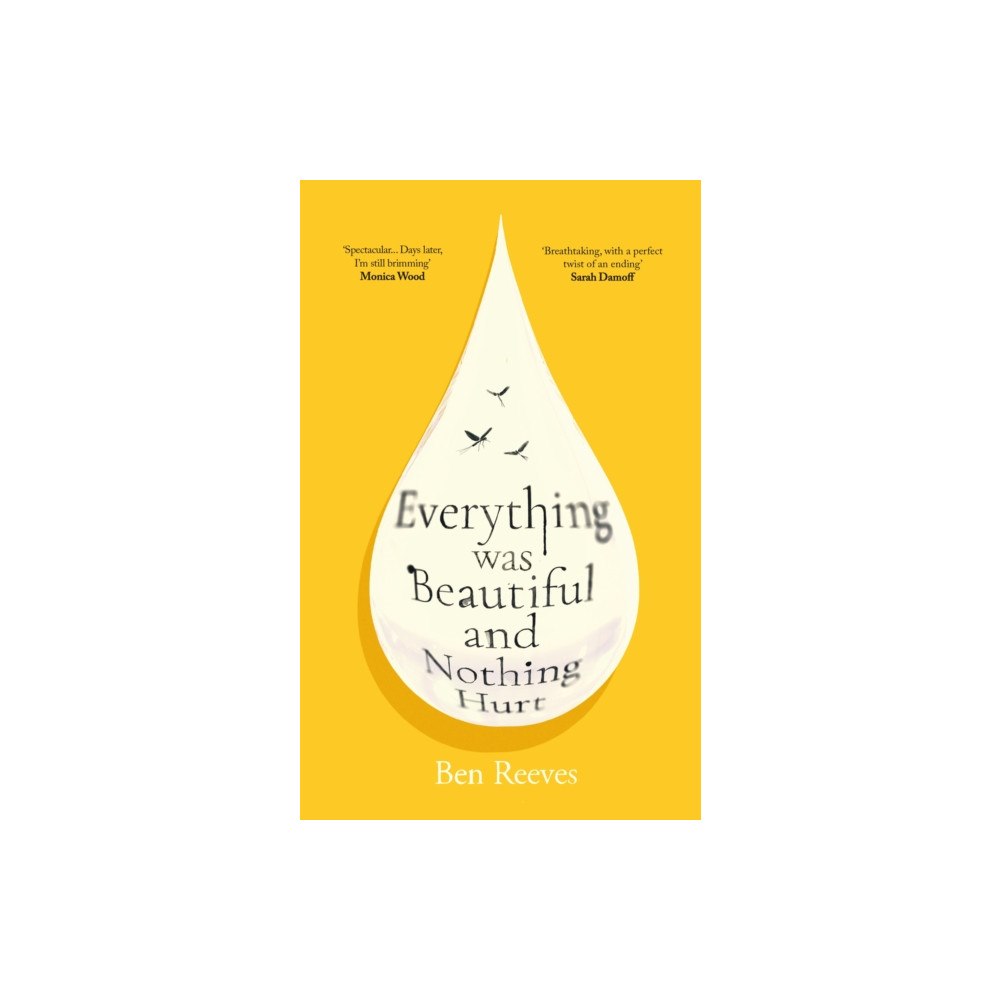 Atlantic Books Everything was Beautiful and Nothing Hurt (inbunden, eng)