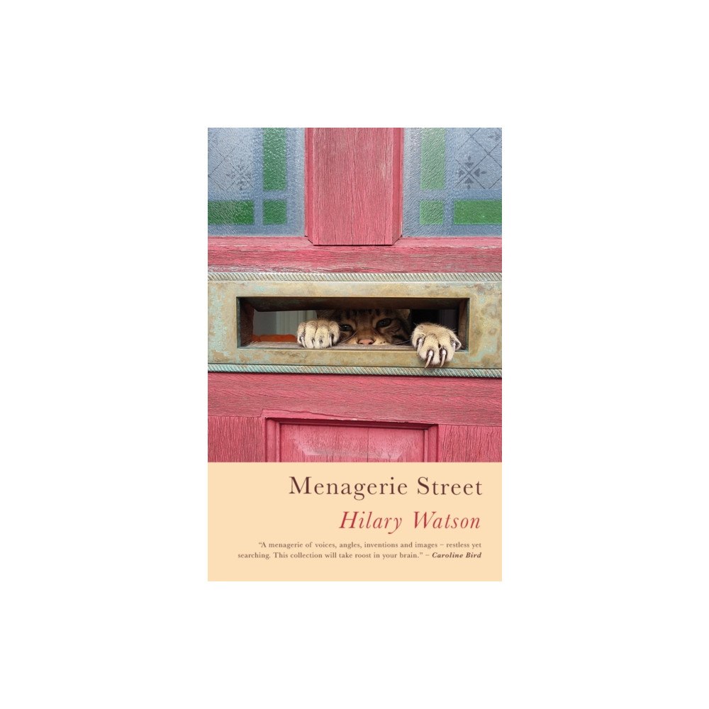 Poetry Wales Press Menagerie Street (häftad, eng)