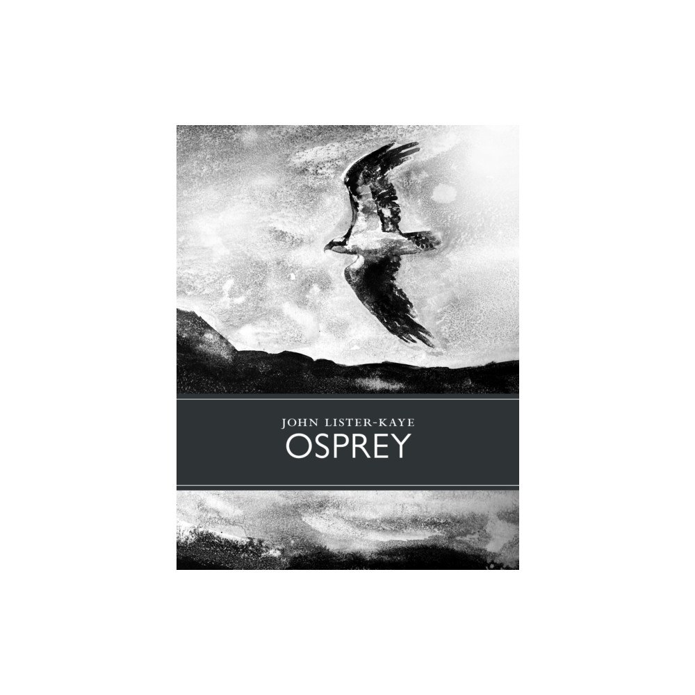 Little Toller Books Osprey (inbunden, eng)