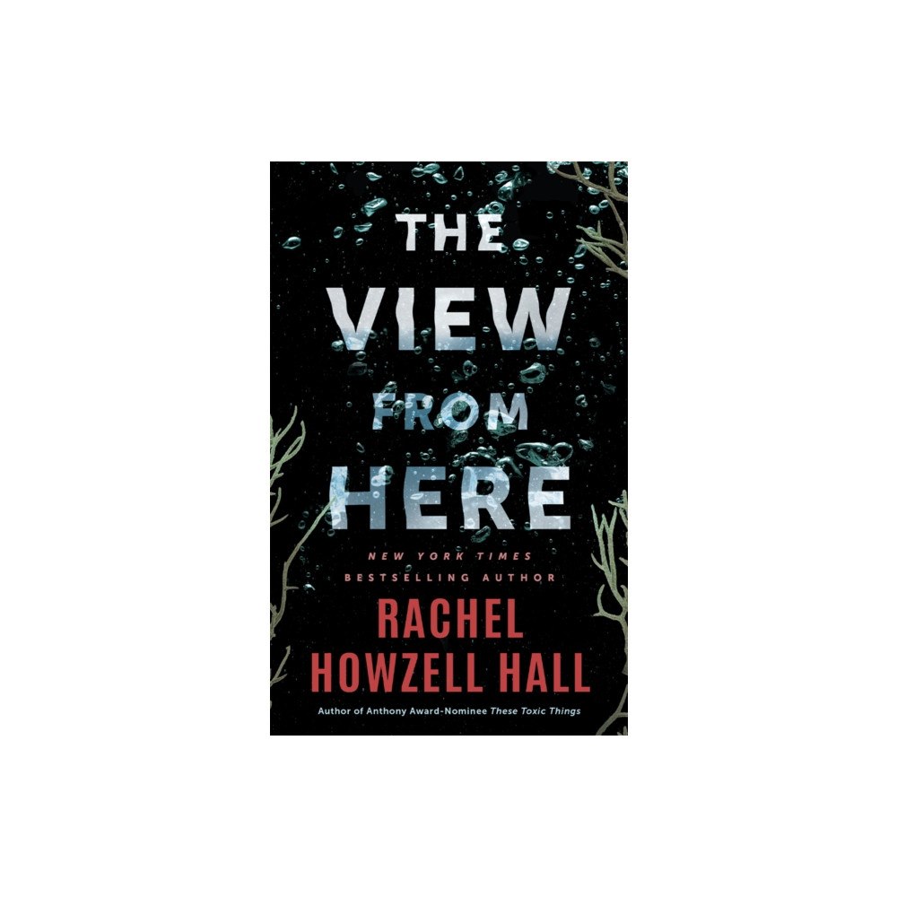 Amazon Publishing The View from Here (häftad, eng)