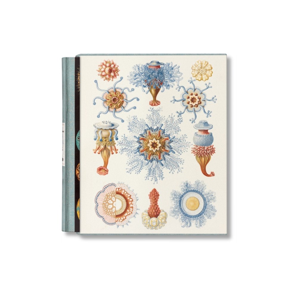 Taschen GmbH The Art and Science of Ernst Haeckel (inbunden, eng)