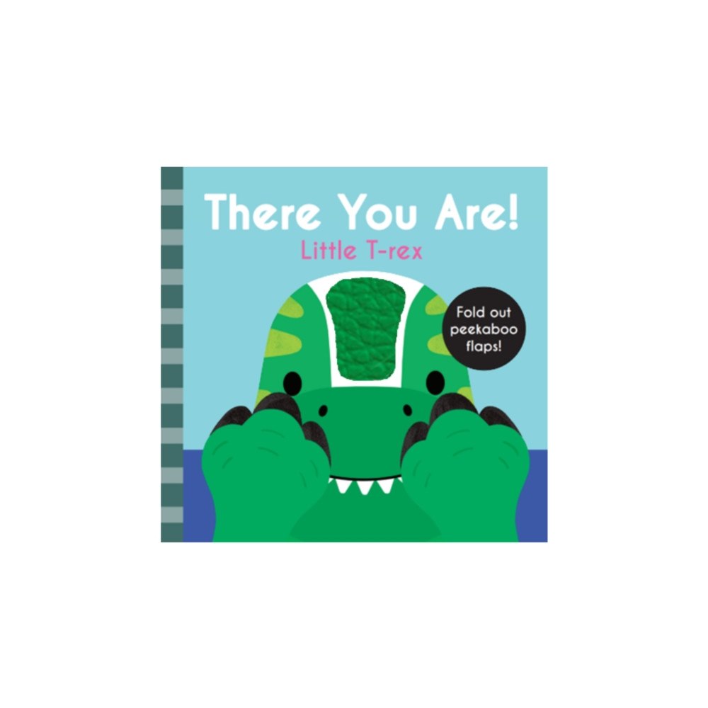 Five Mile There You Are: Little T Rex (bok, board book, eng)