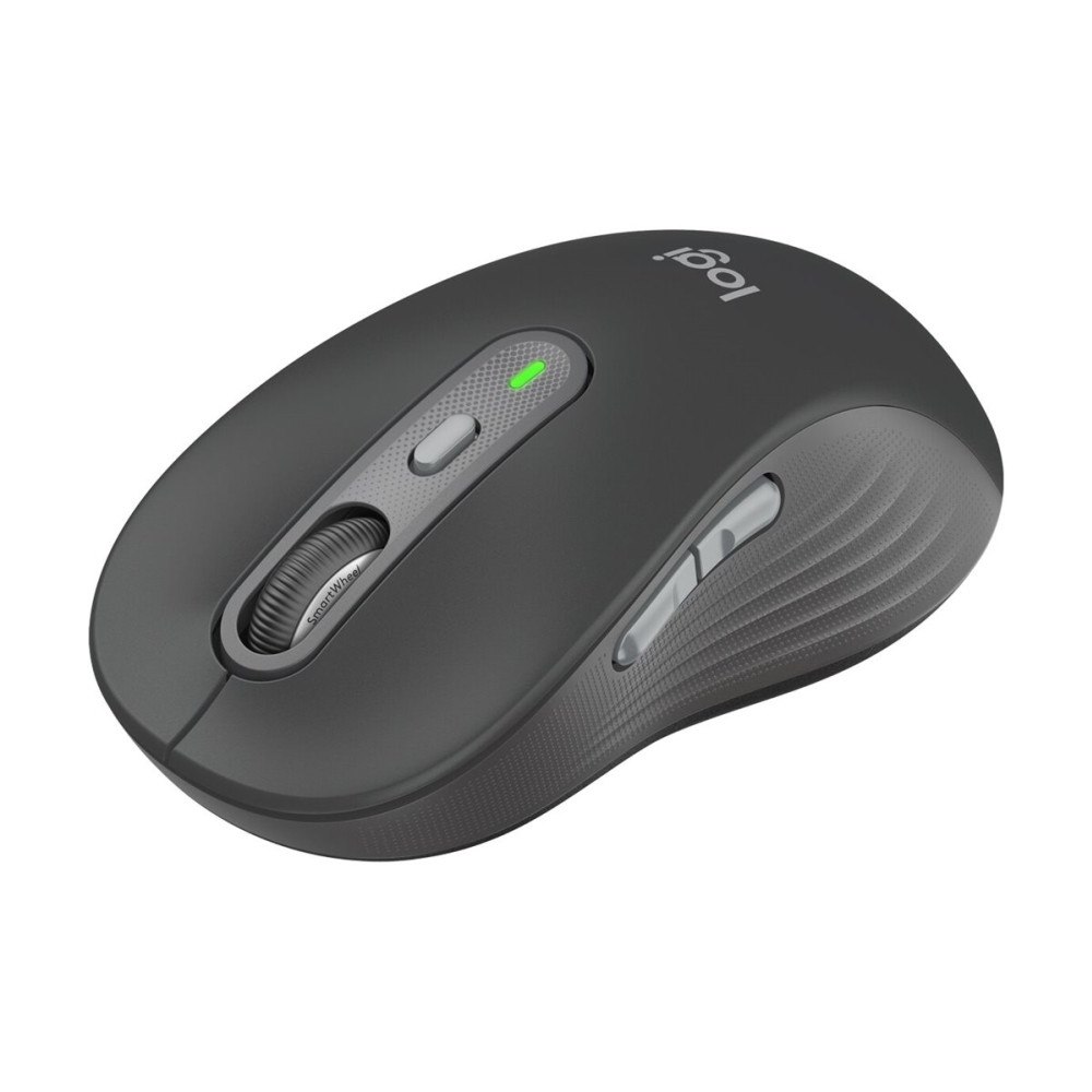Logitech Logitech Signature M750 - mus - 2.4 GHz, Bluetooth - grafit