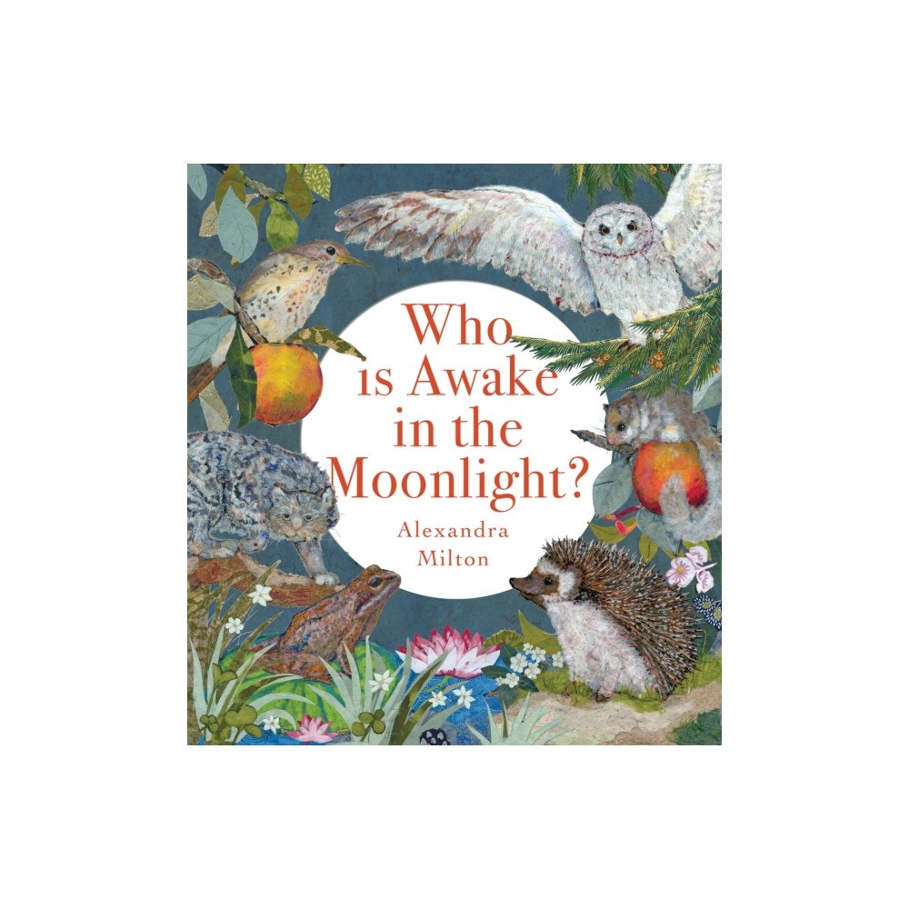 Boxer Books Limited Who Is Awake in the Moonlight? (häftad, eng)