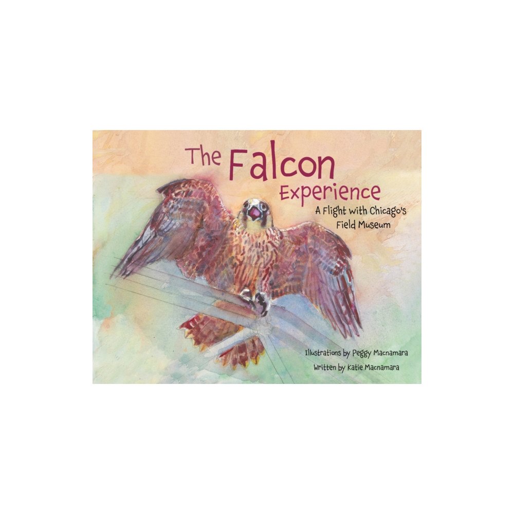 Northwestern university press The Falcon Experience (inbunden, eng)