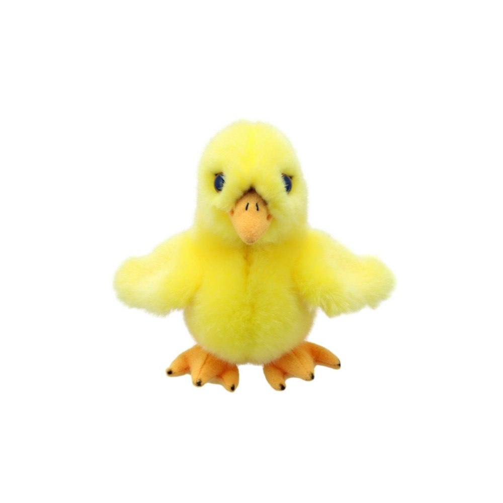 THE PUPPET COMPANY Chick Soft Toy (häftad, eng)