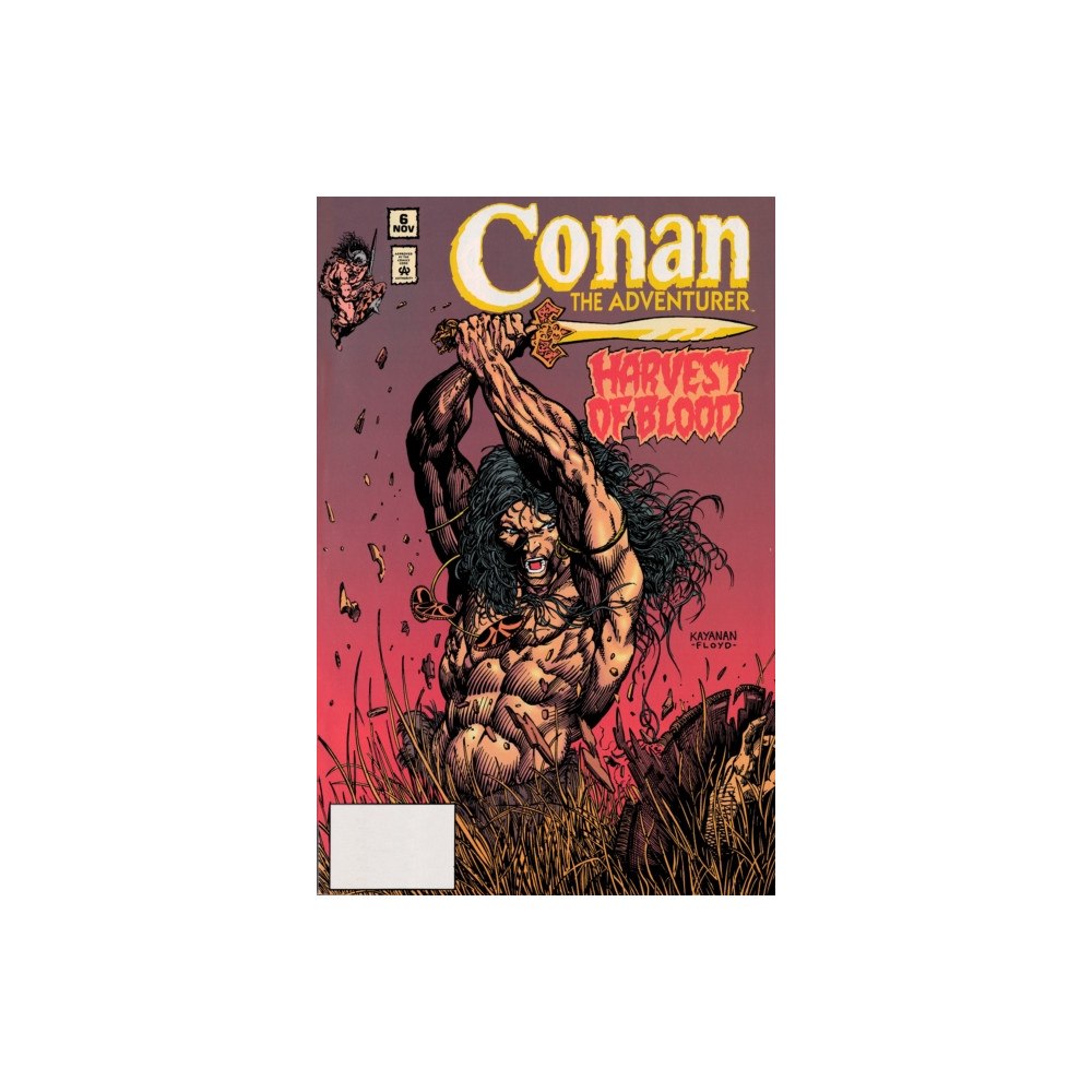 Titan Books Ltd Conan the Adventurer: The Original Comics Years Omnibus Vol. 1 (inbunden, eng)