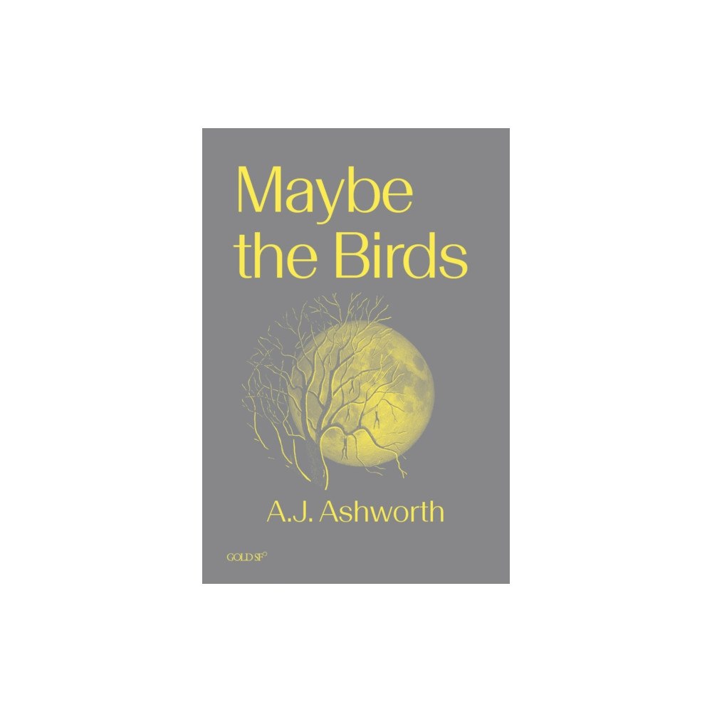 Goldsmiths, University of London Maybe the Birds (häftad, eng)