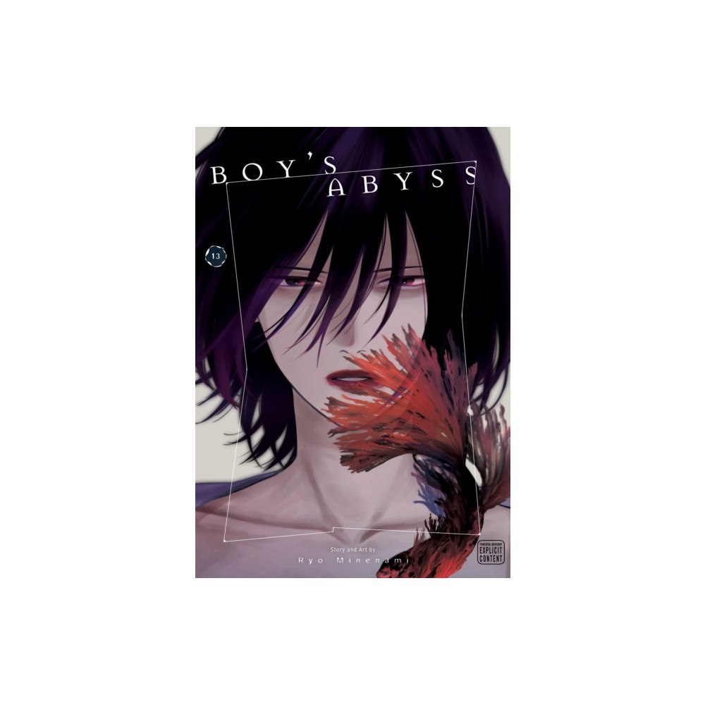 Viz Media, Subs. of Shogakukan Inc Boy's Abyss, Vol. 13 (häftad, eng)