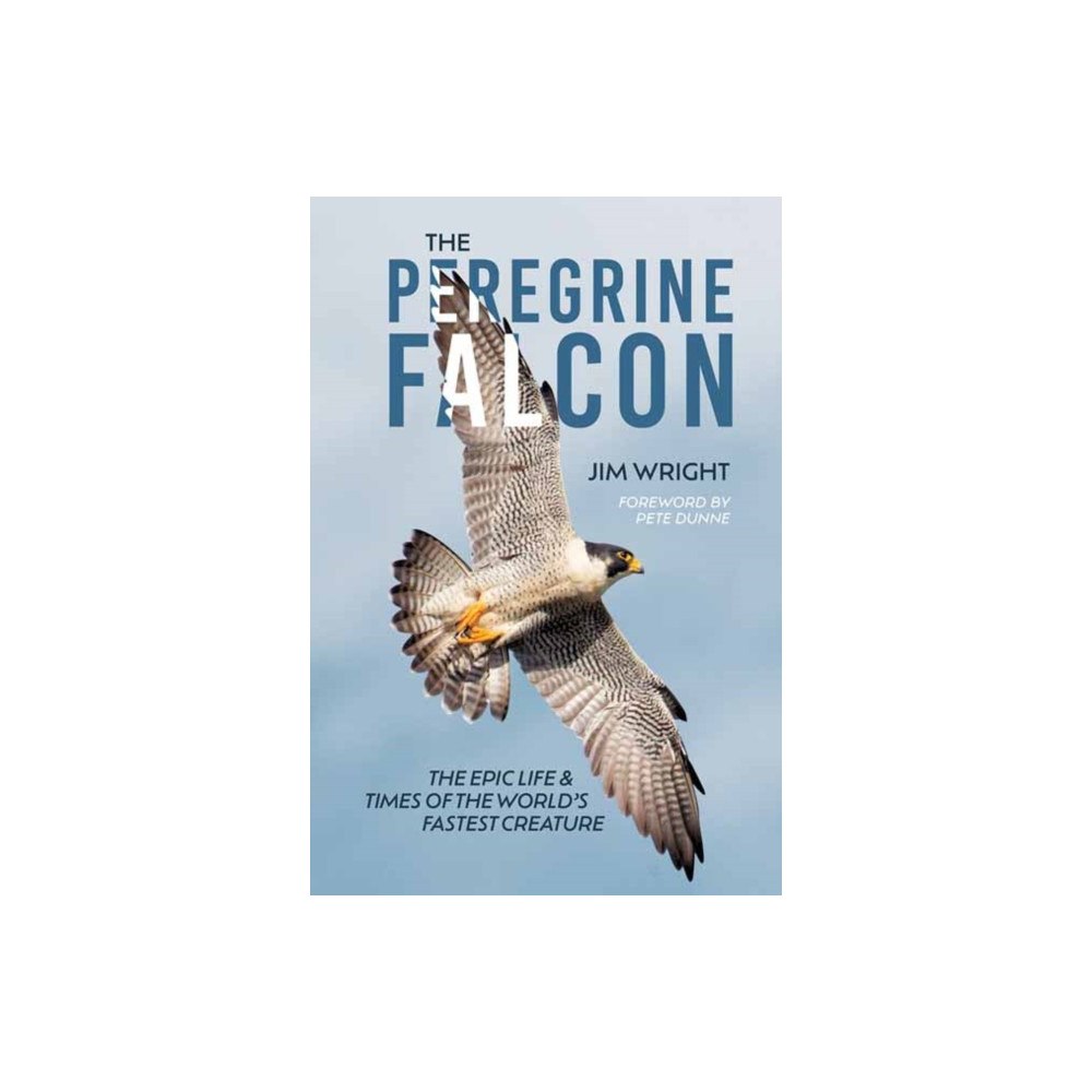 Schiffer Publishing Ltd The Peregrine Falcon (inbunden, eng)