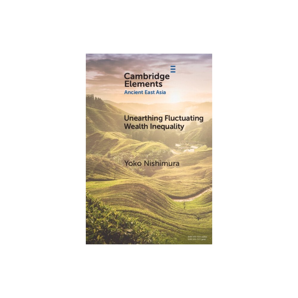 Cambridge University Press Unearthing Fluctuating Wealth Inequality (häftad, eng)