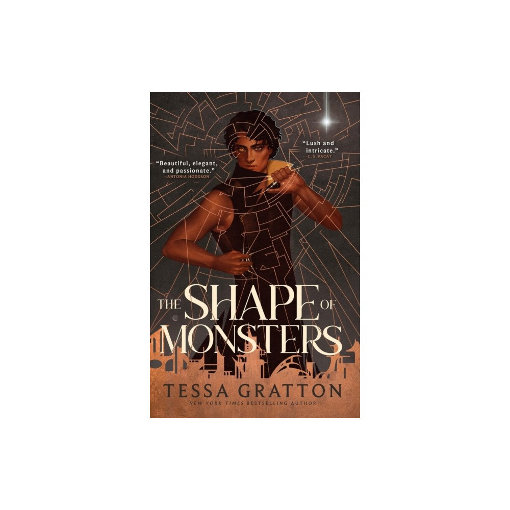 Little, Brown & Company The Shape of Monsters (häftad, eng)