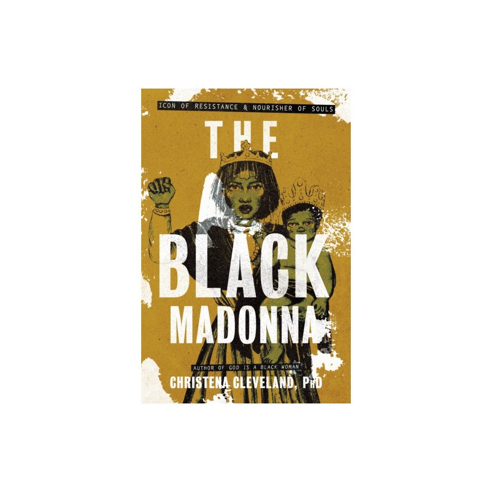Hay House UK Ltd The Black Madonna (häftad, eng)