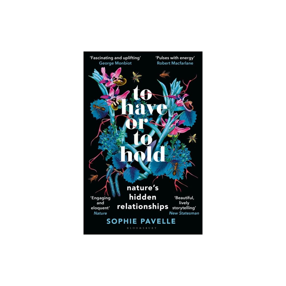 Bloomsbury Publishing PLC To Have or To Hold (häftad, eng)