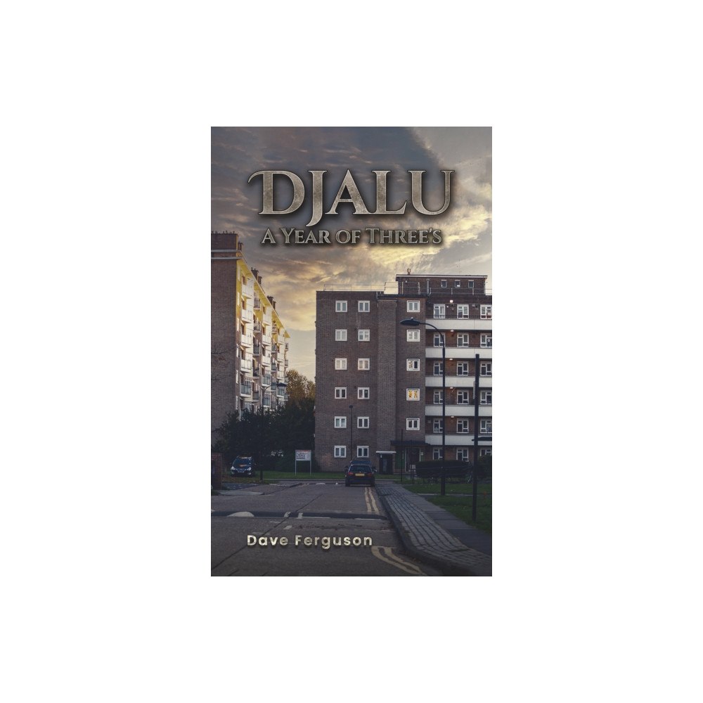 Austin Macauley Publishers Djalu – A Year of Three's (häftad, eng)
