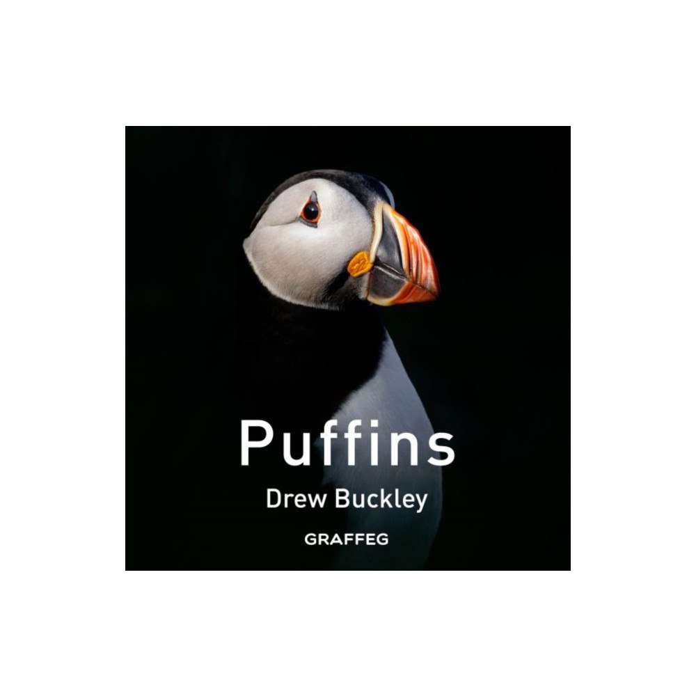 Graffeg Limited Puffins (inbunden, eng)