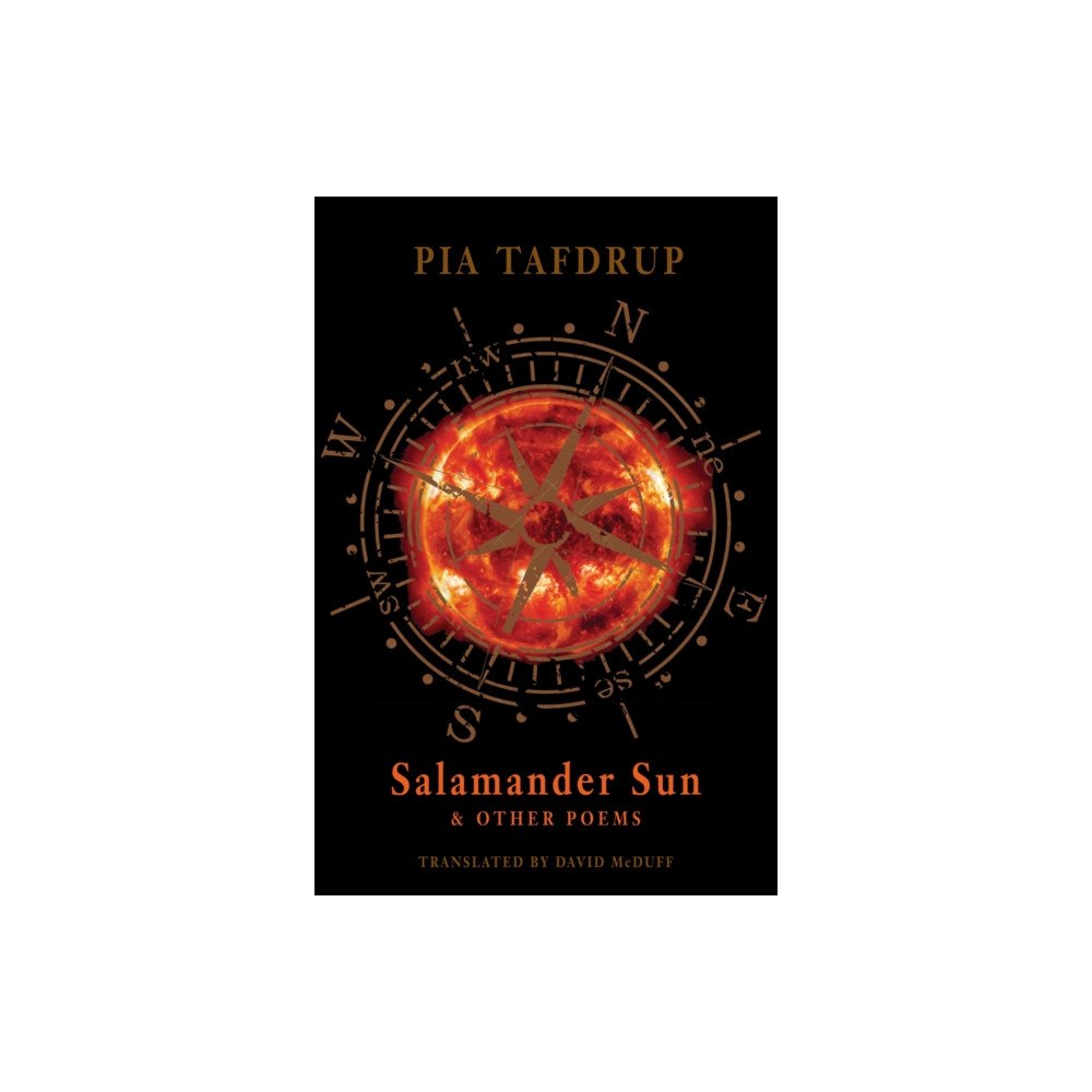 Bloodaxe Books Ltd Salamander Sun and Other Poems (häftad, eng)