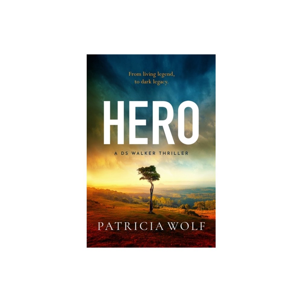 Bonnier Books Ltd Hero (häftad, eng)