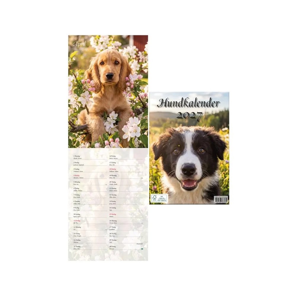Hjelm förlag Hundkalender 2027