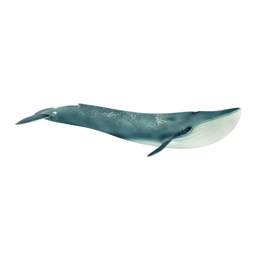 Schleich schleich® Blåval