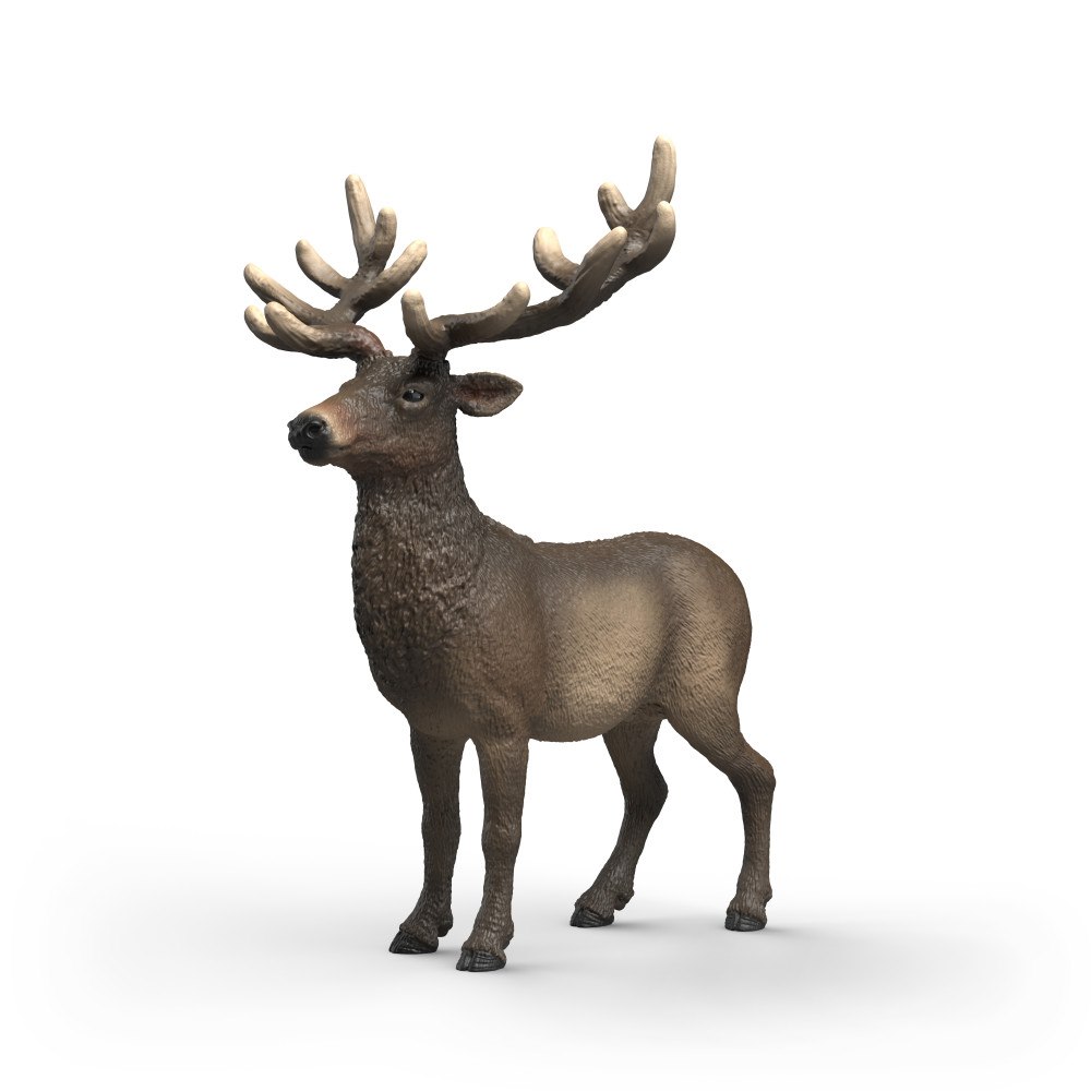 Schleich Schleich Älg