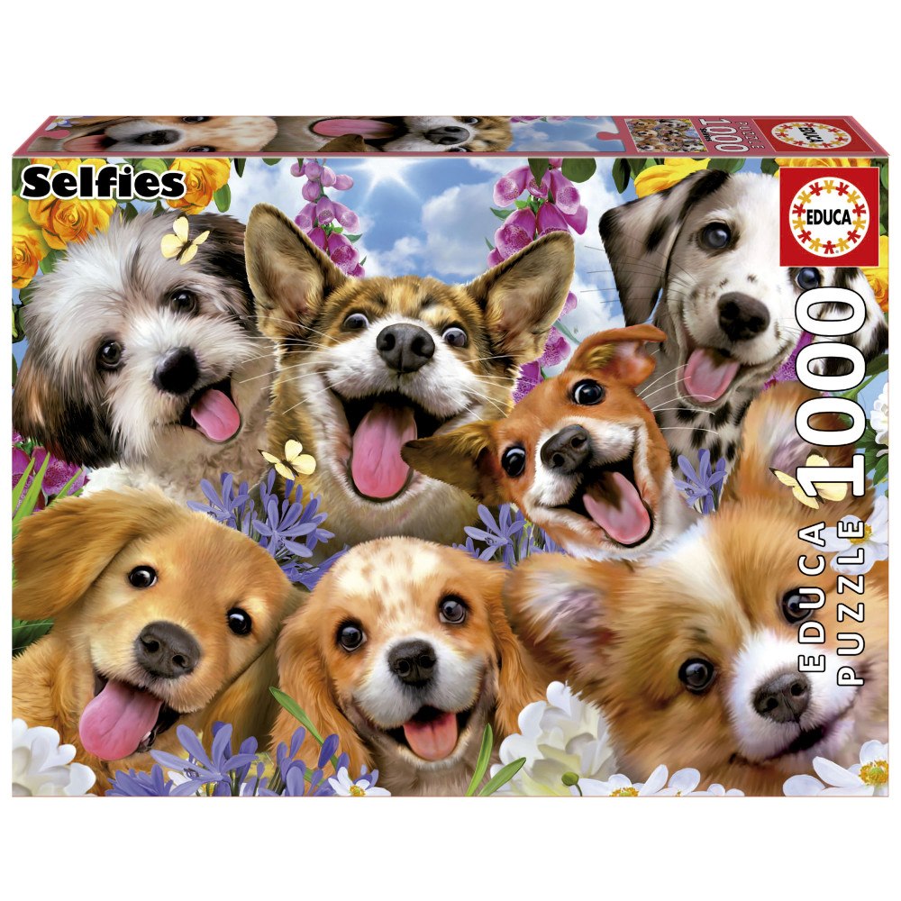 Educa Puzzle Educa 1000 Valpar selfie Howard Robinson