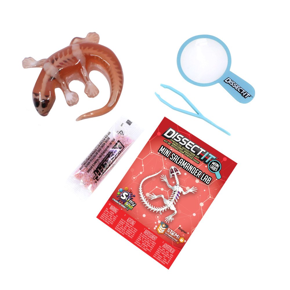 Sensory Compounds Dissect It Mini Lab Salamander
