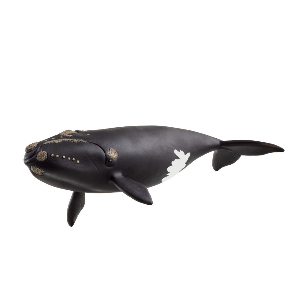 Schleich schleich® nordkapare