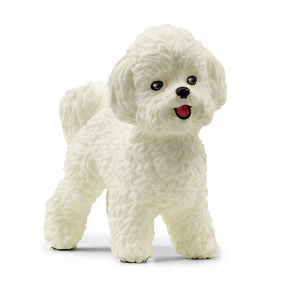 Schleich Schleich Bichon Frisé