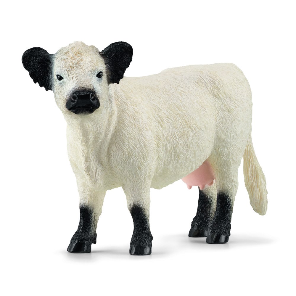 Schleich Schleich Galloway-boskap