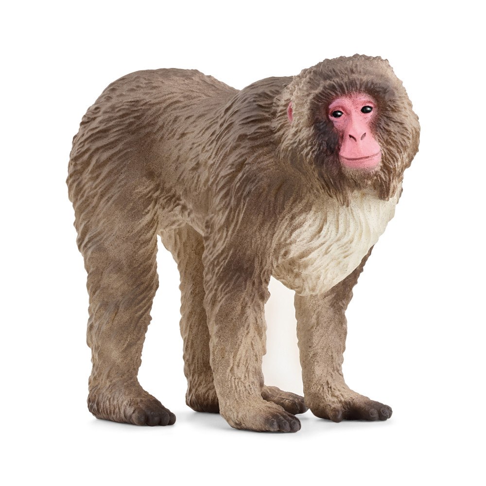 Schleich schleich® japansk makak