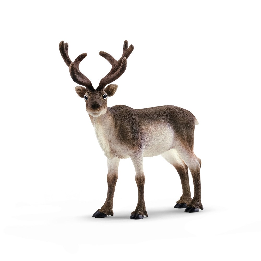 Schleich schleich® Ren