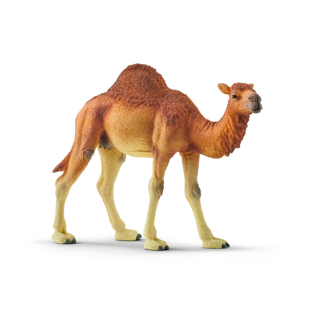 Schleich schleich® Dromedar