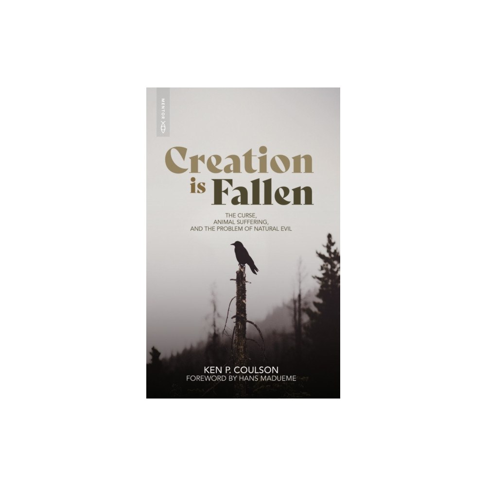 Christian Focus Publications Ltd Creation is Fallen (häftad, eng)