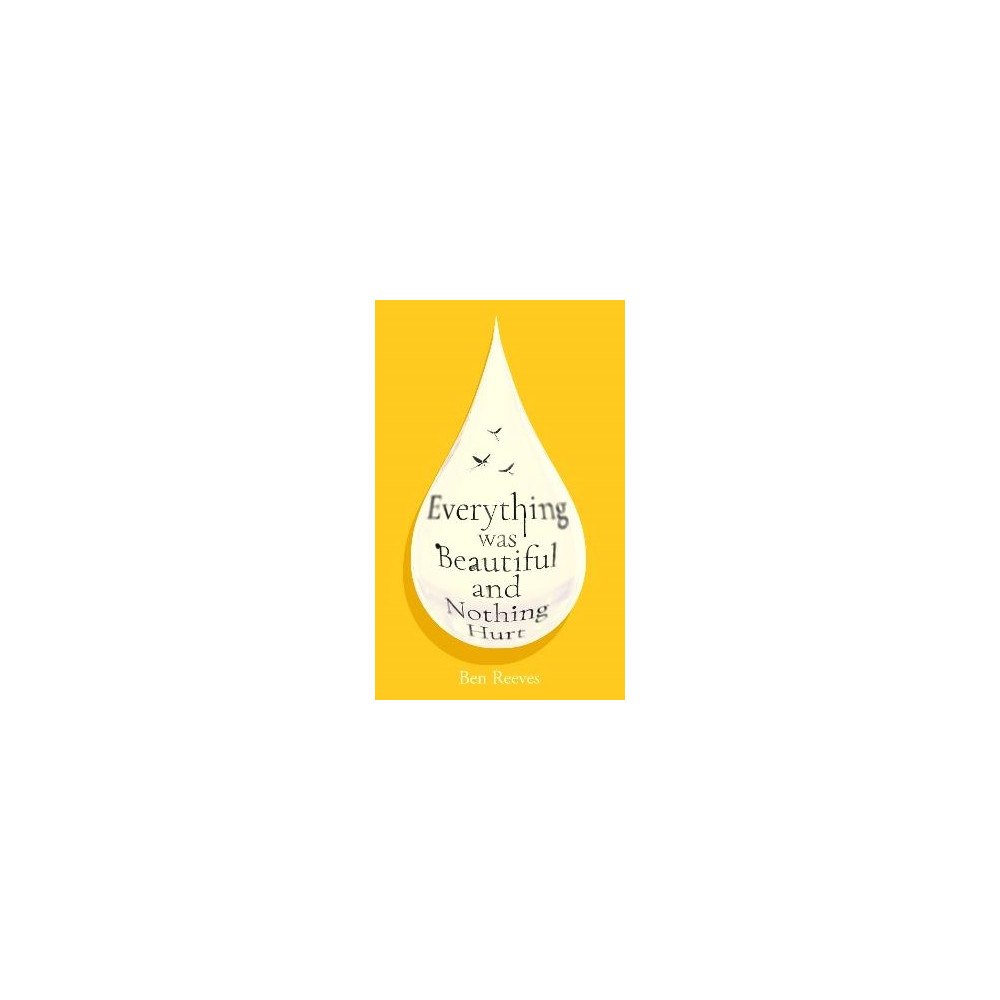 Ben Reeves Everything was Beautiful and Nothing Hurt (pocket, eng)