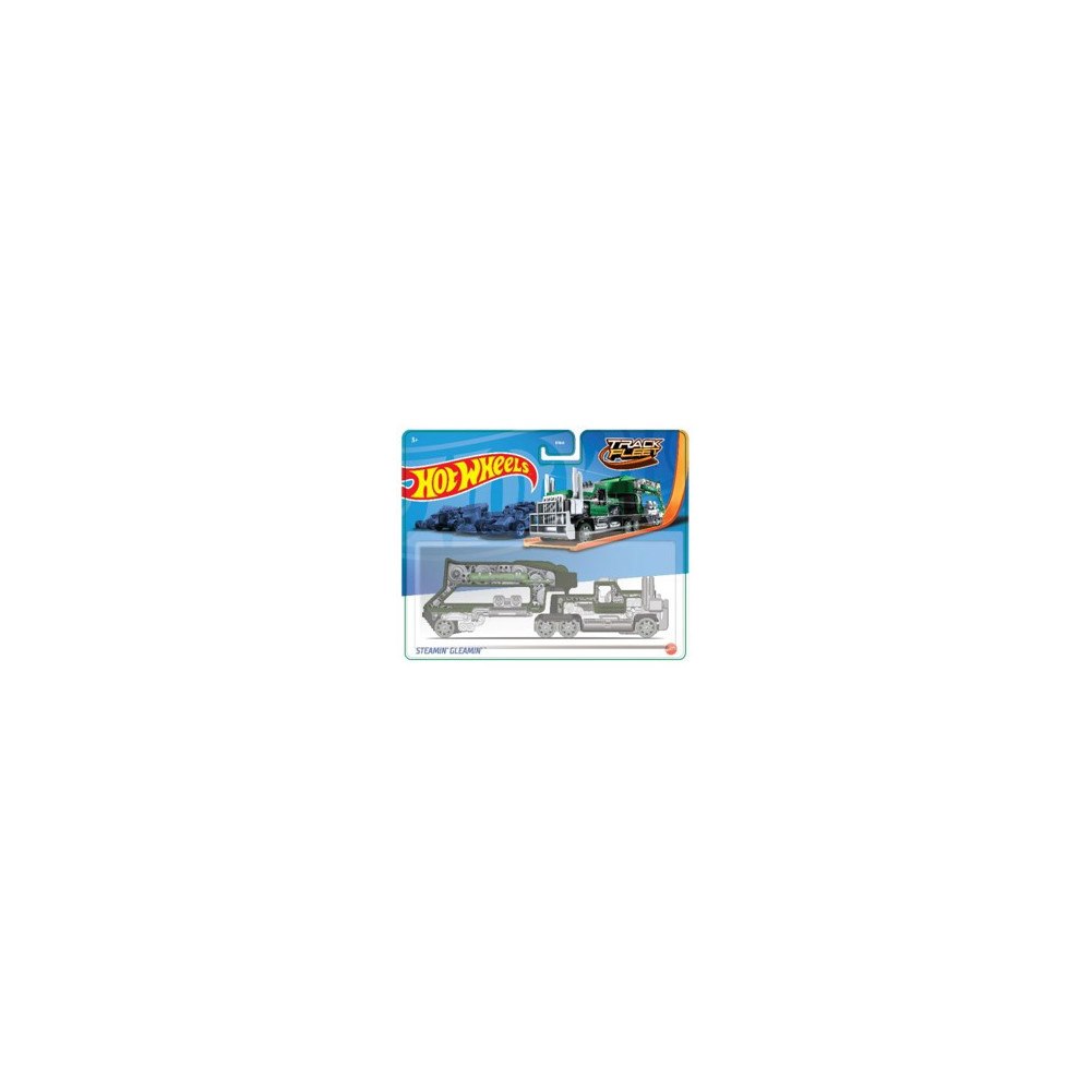 Hot Wheels Hot Wheels Flotta 1:64 Sort.