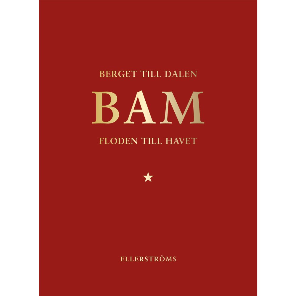 BAM Berget till dalen, floden till havet (häftad)