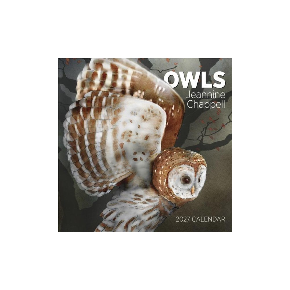 Pomegranate Europe Ltd Owls: Jeannine Chappell : 2027 Wall Calendar