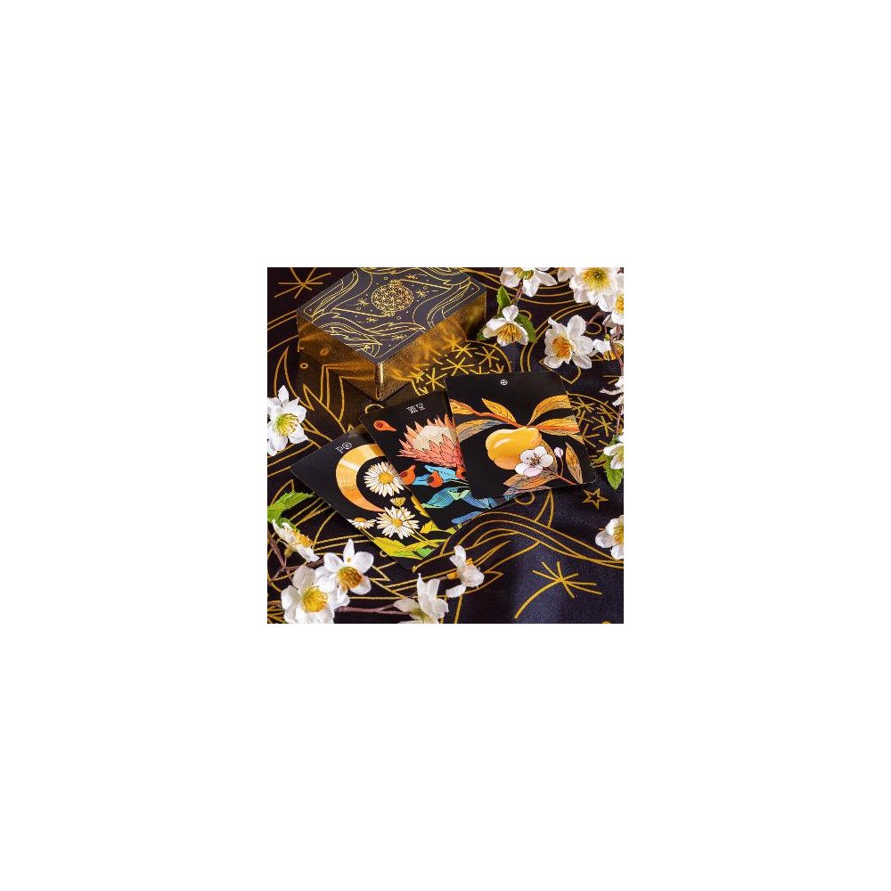 Kevin Jay Stanton Botanica: The Tarot Deck About the Language of Flowers