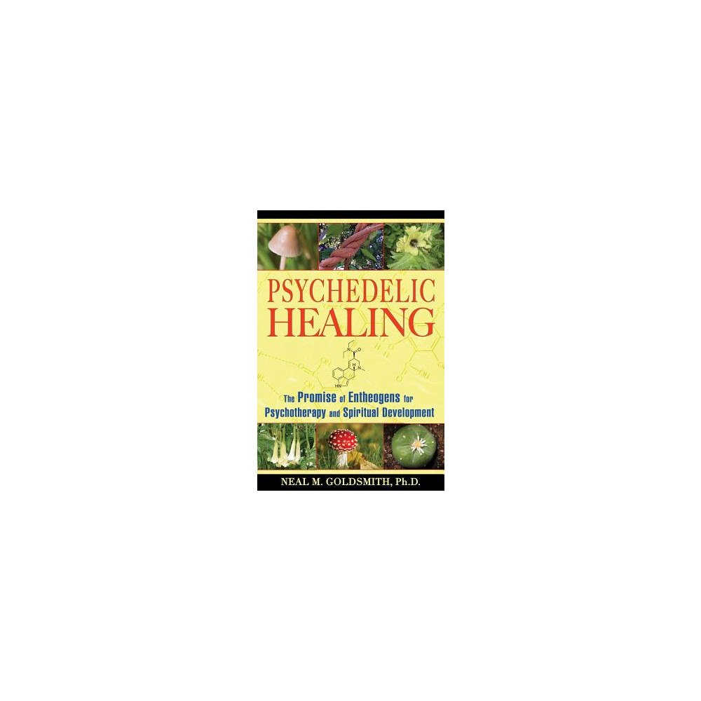 Neal M Goldsmith Psychedelic Healing: The Promise Of Entheogens For Psychotherapy & Spiritual Development (häftad, eng)