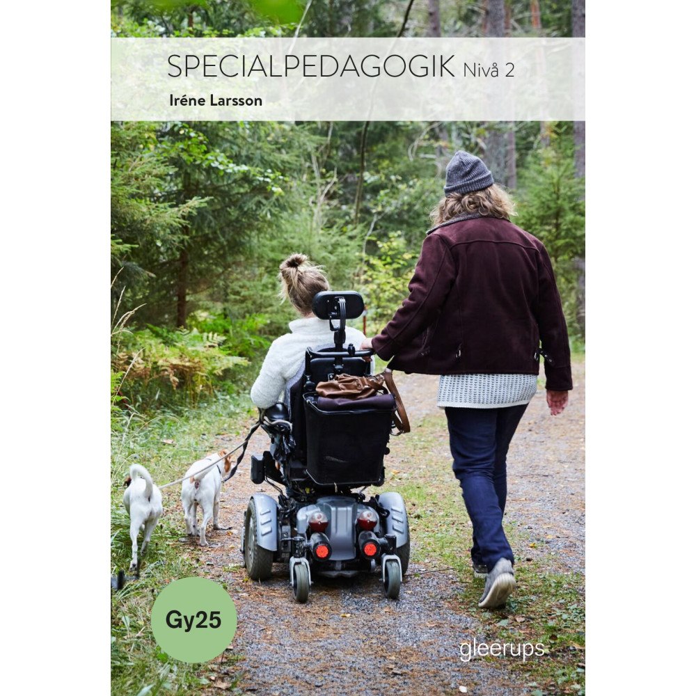 Irene Larsson Specialpedagogik 2, bok, Gy25 (häftad)