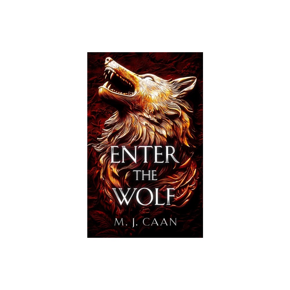 Vinci Books Enter the Wolf (häftad, eng)