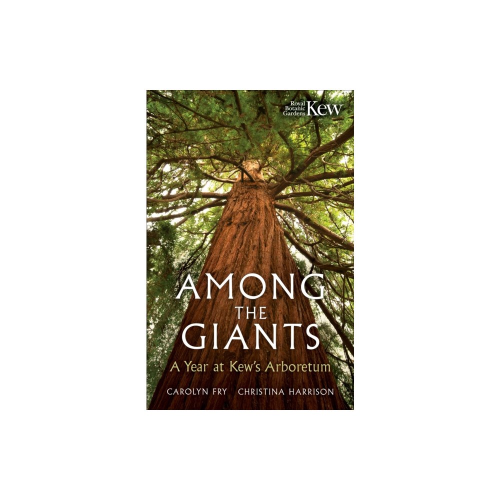 Octopus publishing group Among the Giants (häftad, eng)